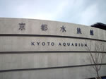 京都に水族館