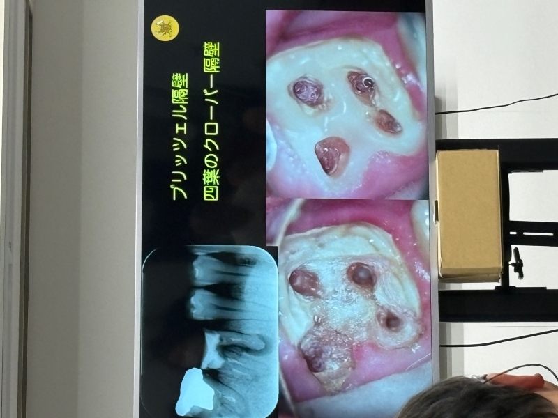 今年最後のライブセミナー!